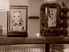 -肥朵食堂(带梦胡同店)