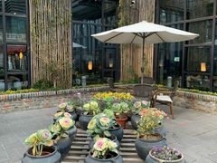 -瓦库茶馆17号(海汇港店)