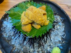 -Hatsune隐泉日式料理(三里屯太古里店)