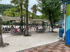 -重庆海昌加勒比海水世界