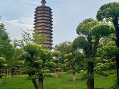 -西海子公园