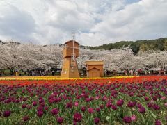 -苏州上方山国家森林公园