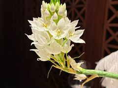 -满满海佛跳墙(千禧店)