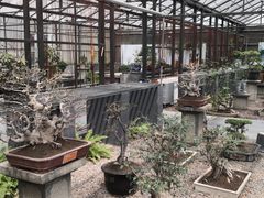 -石家庄市植物园
