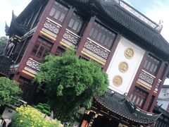 -绿波廊(豫园店)