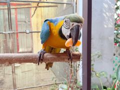 -观桥阁(锦溪店)