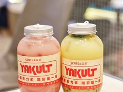 红石榴益力多-SENTEA森茶(麦地丽日店)