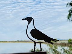 -野鸭湖国家湿地公园