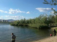 -永定河休闲森林公园