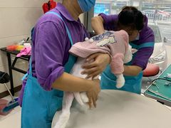 -北京观赏动物医院·24小时大型综合·猫专科·异宠专科