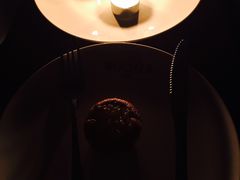 -百好乐宠物友好餐厅(朝外大街店)