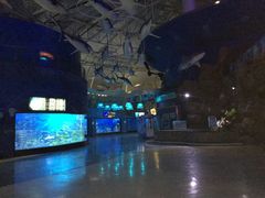 -烟台海昌鲸鲨海洋公园