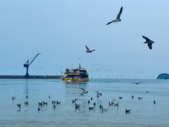 -海驴岛(荣成市)