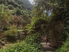 -西安祥峪森林公园