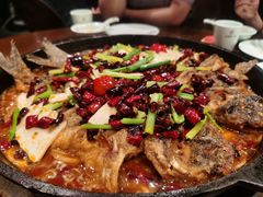 -老板恋上鱼(高新万达店)