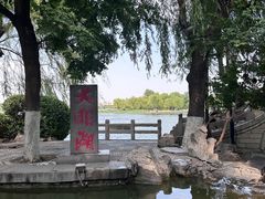 -济南大明湖景区