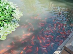-宝鸡植物园