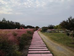 -嘉北郊野公园