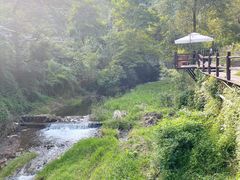-Local泰莲庭(虹鳟鱼店)