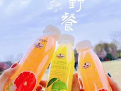 -顾村公园