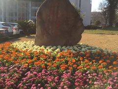-上海第二工业大学(金海路校区)