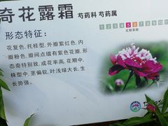 -仁和公园(顺义区)