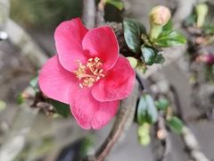 -成都杜甫草堂博物馆