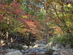 -本溪老边沟风景区