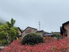 -千岛湖石林