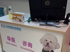 -北京观赏动物医院·24小时大型综合·猫专科·异宠专科