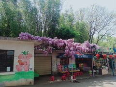 -昆明动物园