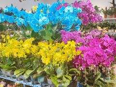 -三旗百汇商品城