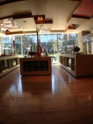 iphone_upload_pic-上海浦东喜来登由由大酒店·宴会厅