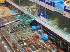-宁海食府·涌宴(真和店)