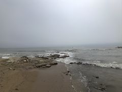 -日照海滨国家森林公园