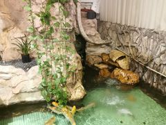 -金河半岛园林酒家(金融城店)