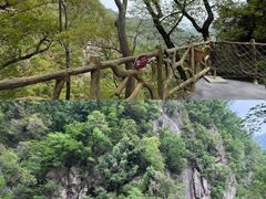 -洛阳白云山景区