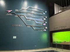 -世界恐龙谷景区