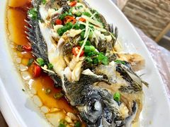 -阿杰臻选海鲜饭店(普陀山店)