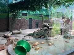 -黔灵山公园