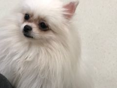 -共舞时光猫咖·狗咖(新街口店)