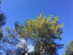 -腾冲云峰山