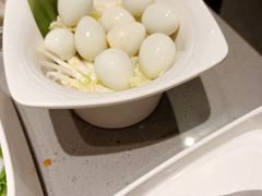 -海底捞火锅(奥森店)