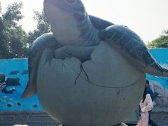 -广东惠东海龟国家级自然保护区