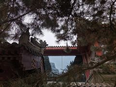 -团结湖公园