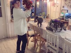 -海边的猫和咖啡馆