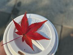 -星巴克(西湖天地店)