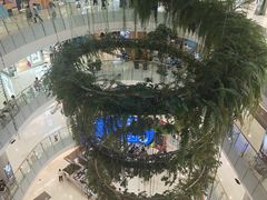 -凯德广场(学府店)