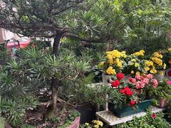 -山水茶艺馆·点心粤菜·30年老字号