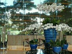 -深圳观澜格兰云天国际酒店